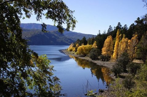 bosques_argentinos