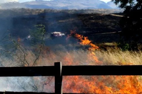 incendio_sierra