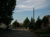 sentidounicoladaldayrodriguez