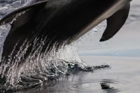 foto_guillermogiagante(4)