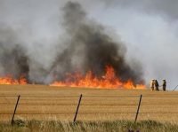 Alerta Bahia: Incendios lo mas denunciado